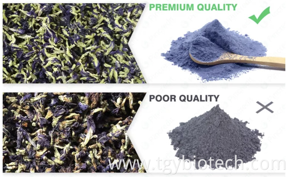 Butterfly Pea Flower Powder